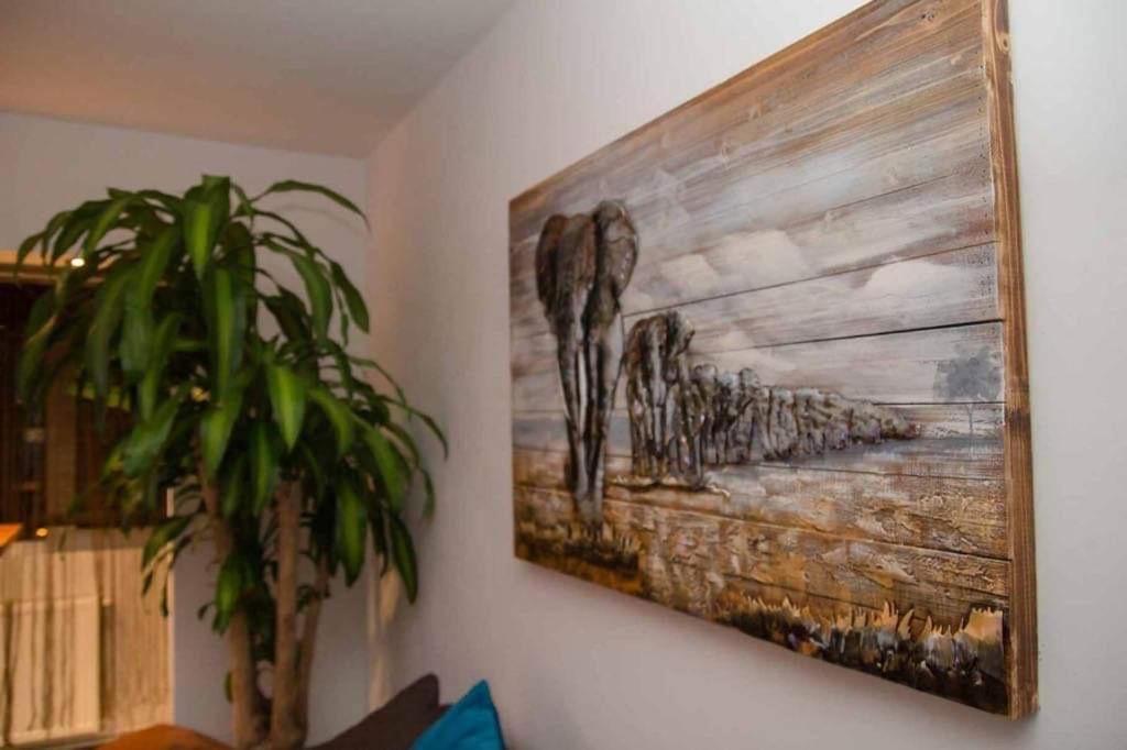 Colonial Touch Apartament Brasov Ngoại thất bức ảnh